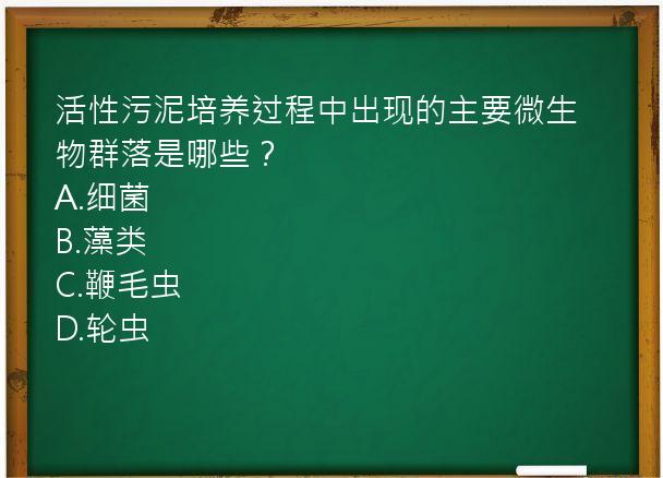 活性污泥培养过程中出现的主要微生物群落是哪些？