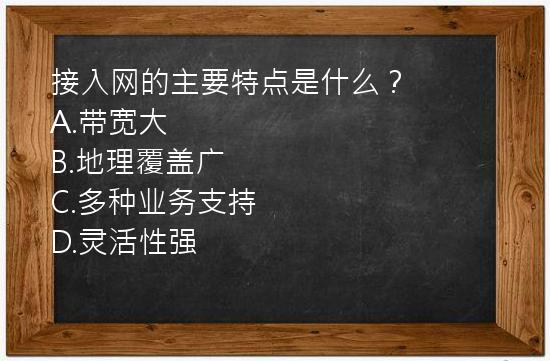 接入网的主要特点是什么？