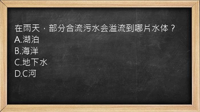 在雨天，部分合流污水会溢流到哪片水体？