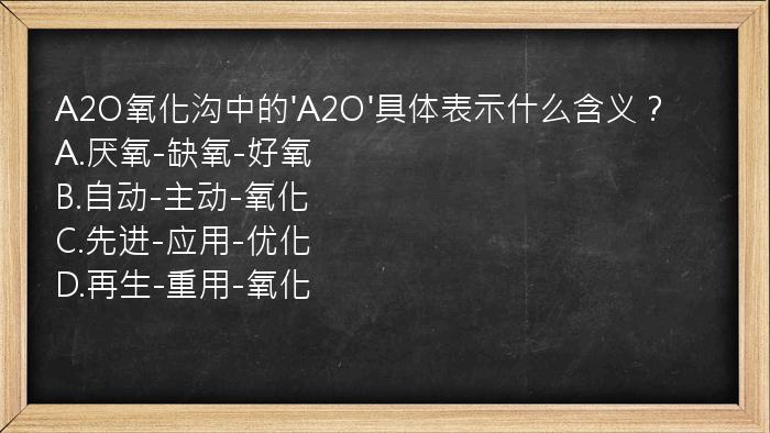 A2O氧化沟中的'A2O'具体表示什么含义？