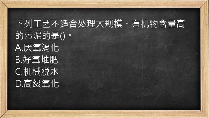 下列工艺不适合处理大规模、有机物含量高的污泥的是()。