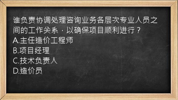 谁负责协调处理咨询业务各层次专业人员之间的工作关系，以确保项目顺利进行？