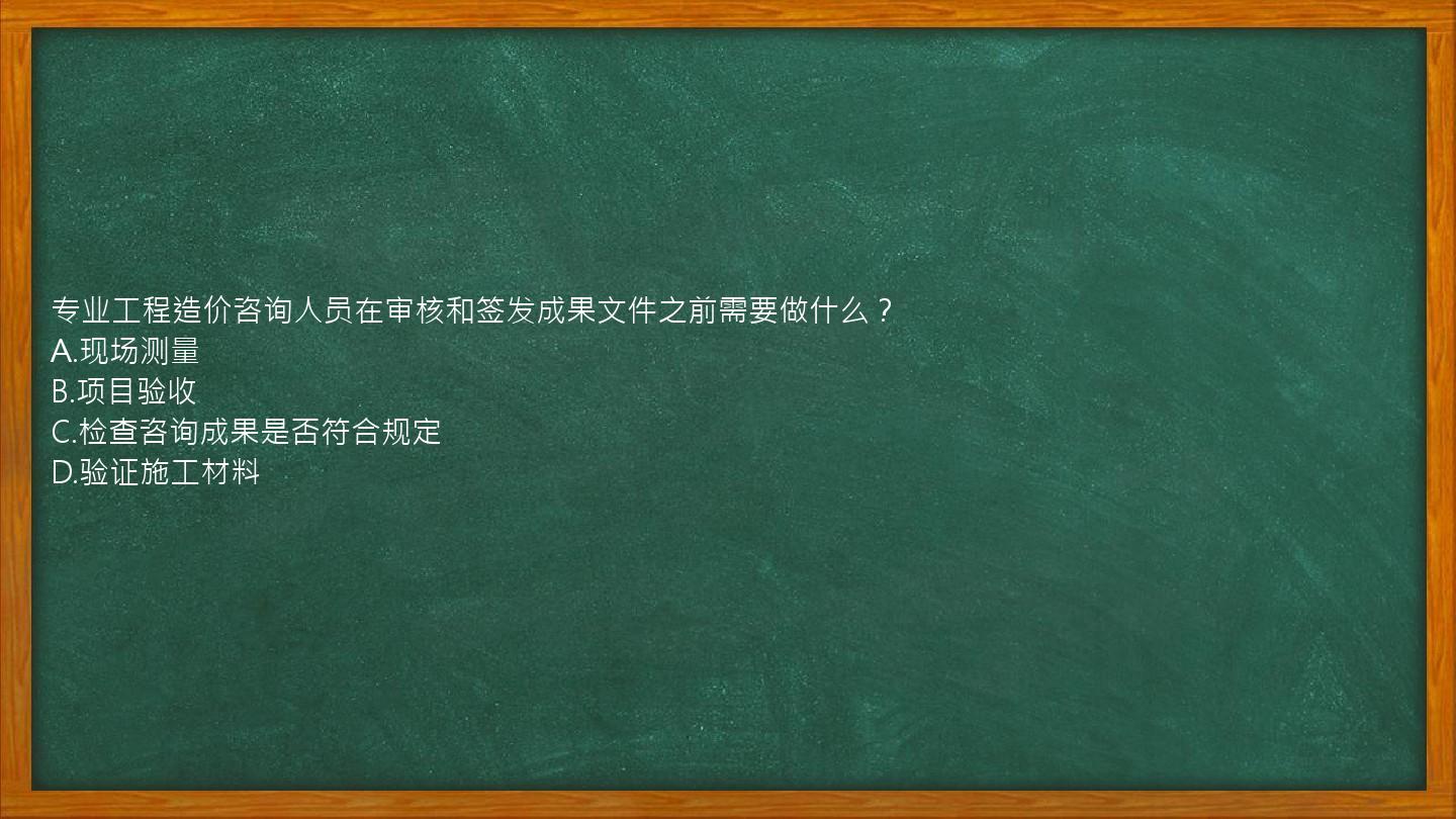 专业工程造价咨询人员在审核和签发成果文件之前需要做什么？