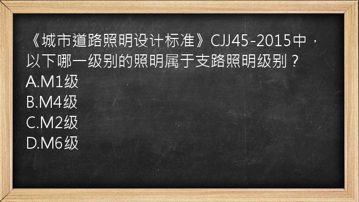 《城市道路照明设计标准》CJJ45-2015中，以下哪一级别的照明属于支路照明级别？