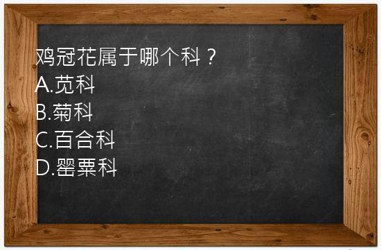 鸡冠花属于哪个科？