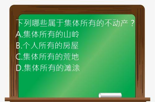 下列哪些属于集体所有的不动产？