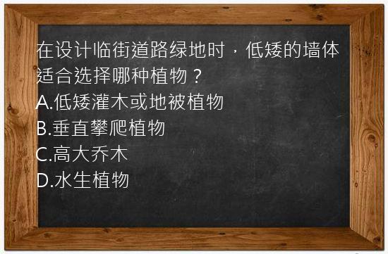 在设计临街道路绿地时，低矮的墙体适合选择哪种植物？