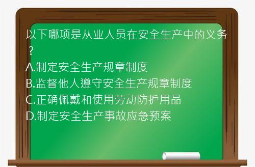 以下哪项是从业人员在安全生产中的义务？