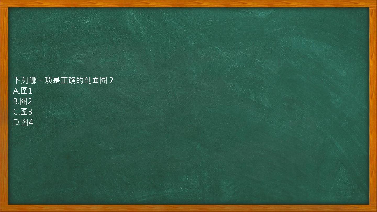 下列哪一项是正确的剖面图？