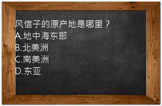 风信子的原产地是哪里？