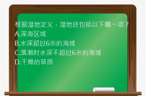 根据湿地定义，湿地还包括以下哪一项？