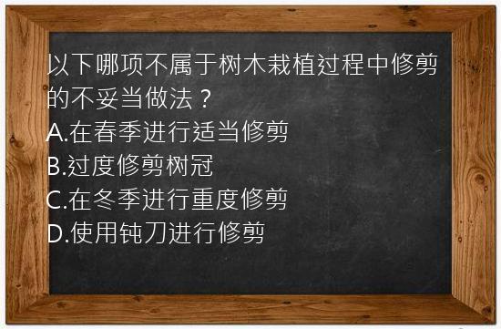 以下哪项不属于树木栽植过程中修剪的不妥当做法？