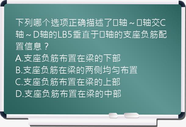 下列哪个选项正确描述了④轴～⑤轴交C轴～D轴的LB5垂直于⑤轴的支座负筋配置信息？