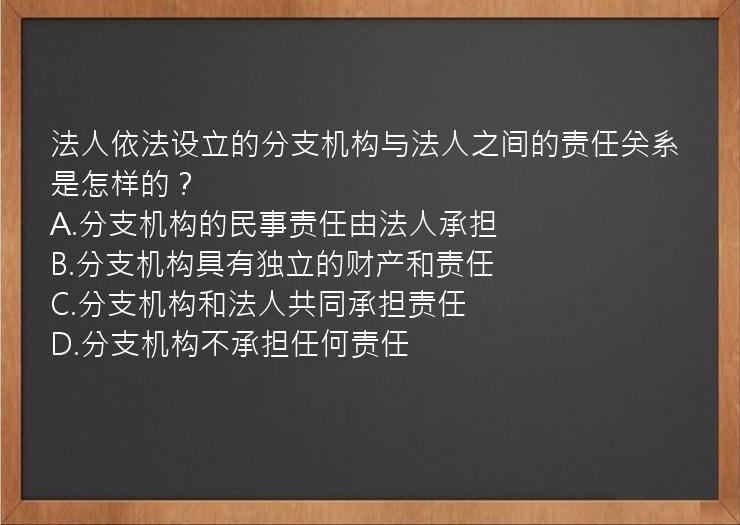 法人依法设立的分支机构与法人之间的责任关系是怎样的？