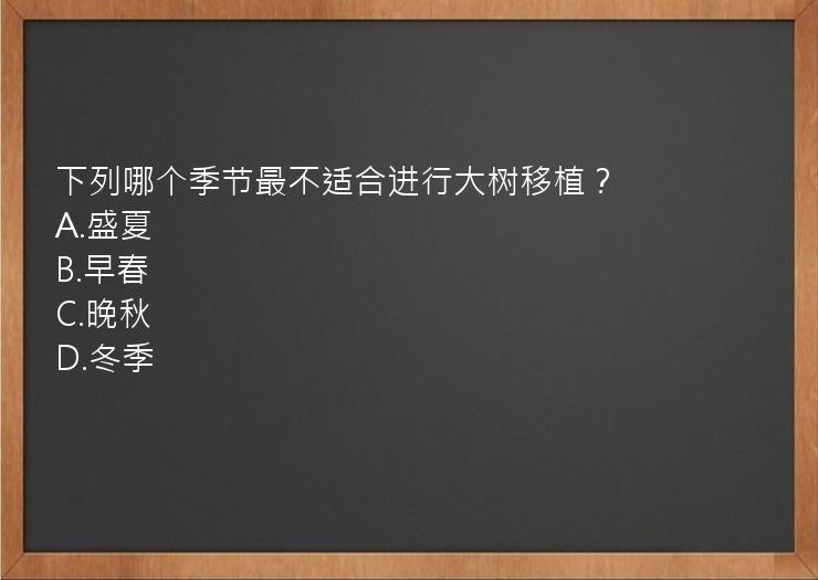 下列哪个季节最不适合进行大树移植？