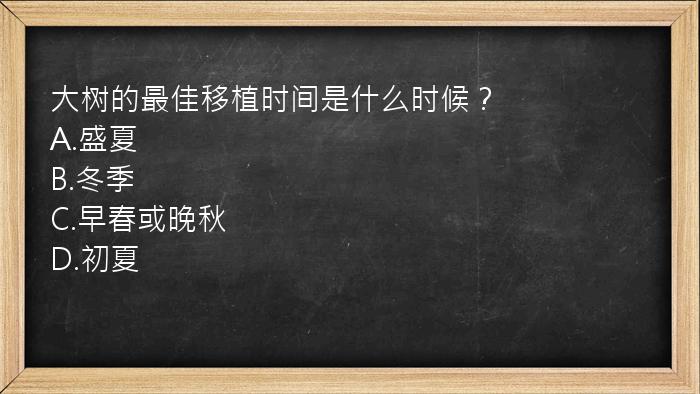 大树的最佳移植时间是什么时候？