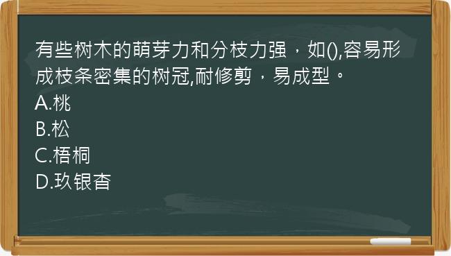 有些树木的萌芽力和分枝力强，如(),容易形成枝条密集的树冠,耐修剪，易成型。