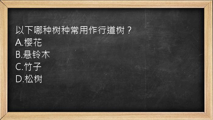 以下哪种树种常用作行道树？