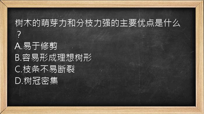 树木的萌芽力和分枝力强的主要优点是什么？