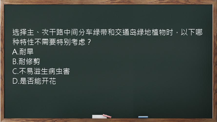 选择主、次干路中间分车绿带和交通岛绿地植物时，以下哪种特性不需要特别考虑？