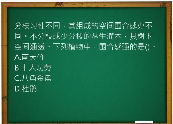 分枝习性不同，其组成的空间围合感亦不同。不分枝或少分枝的丛生灌木，其树下空间通透。下列植物中，围合感强的是()。