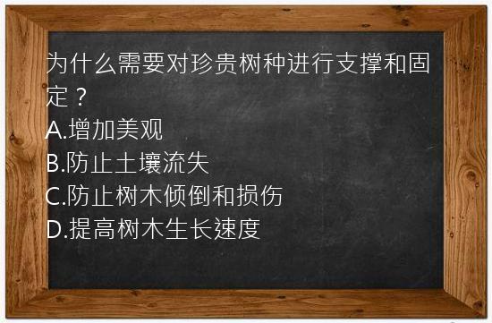 为什么需要对珍贵树种进行支撑和固定？