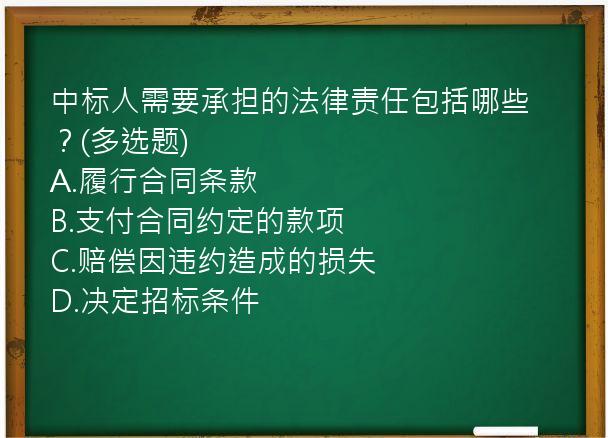 中标人需要承担的法律责任包括哪些？(多选题)