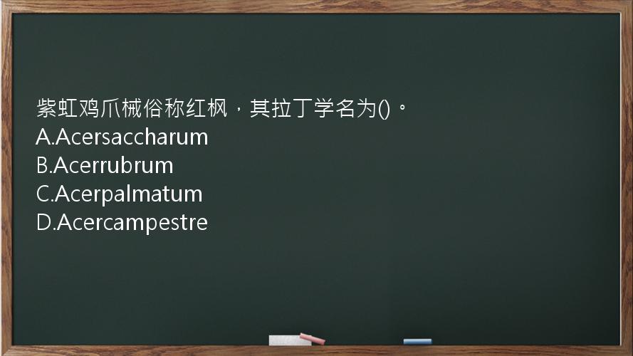 紫虹鸡爪械俗称红枫，其拉丁学名为()。