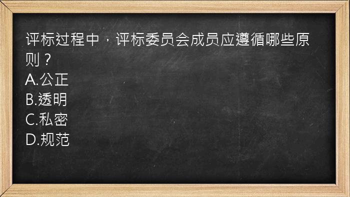 评标过程中，评标委员会成员应遵循哪些原则？