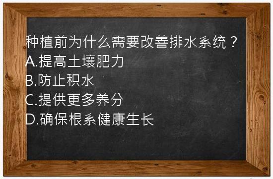 种植前为什么需要改善排水系统？