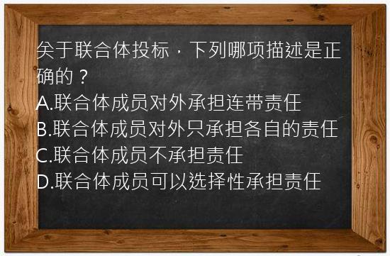 关于联合体投标，下列哪项描述是正确的？