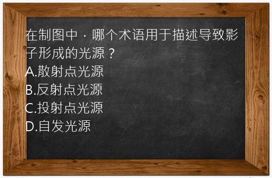 在制图中，哪个术语用于描述导致影子形成的光源？