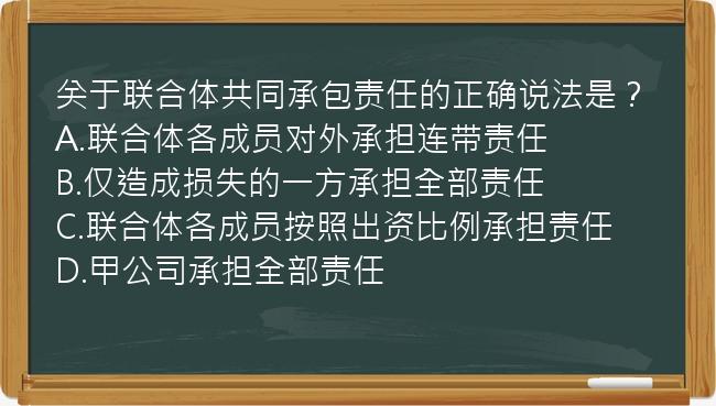 关于联合体共同承包责任的正确说法是？