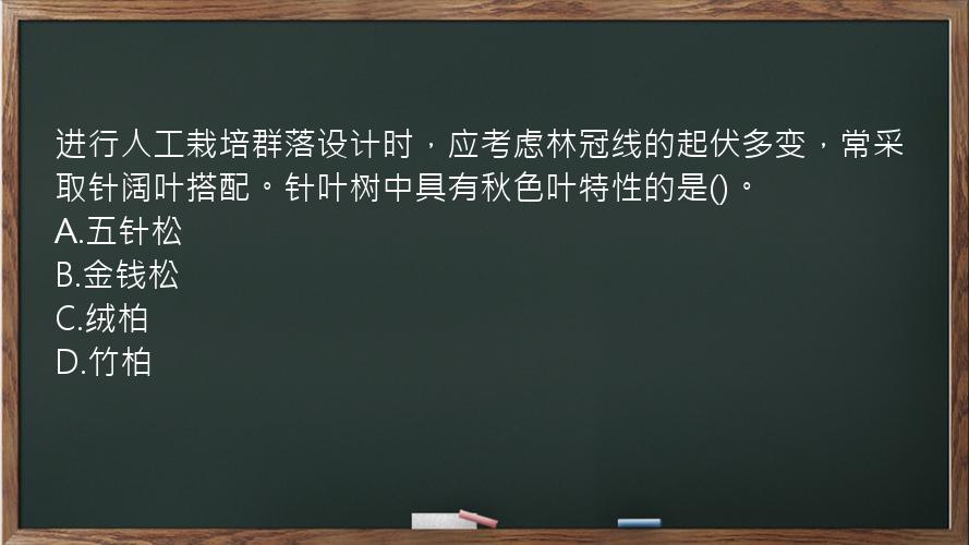 进行人工栽培群落设计时，应考虑林冠线的起伏多变，常采取针阔叶搭配。针叶树中具有秋色叶特性的是()。