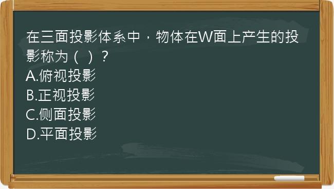 在三面投影体系中，物体在W面上产生的投影称为（）？