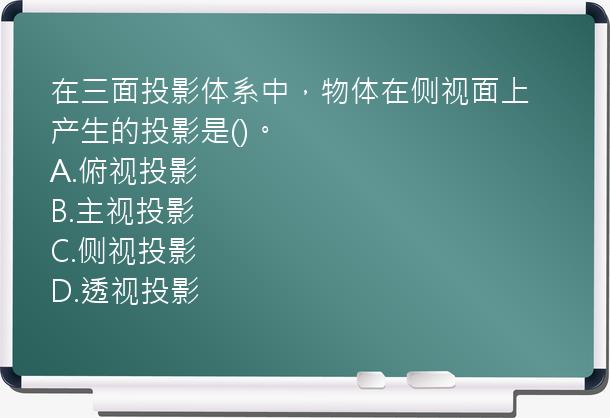 在三面投影体系中，物体在侧视面上产生的投影是()。