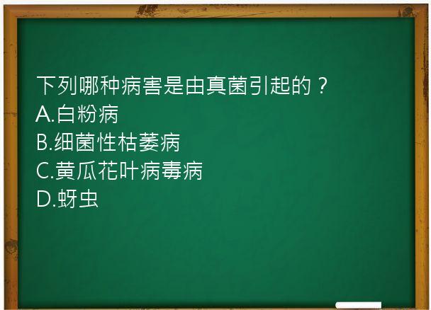 下列哪种病害是由真菌引起的？