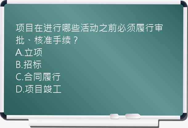 项目在进行哪些活动之前必须履行审批、核准手续？