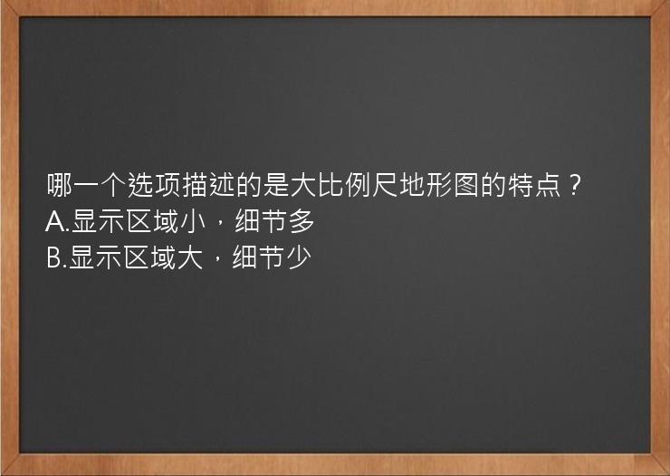 哪一个选项描述的是大比例尺地形图的特点？