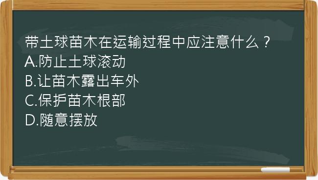 带土球苗木在运输过程中应注意什么？