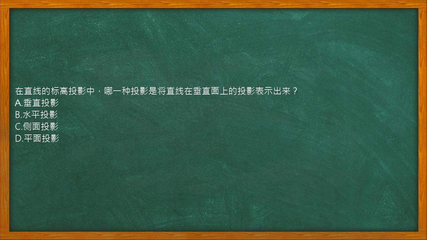 在直线的标高投影中，哪一种投影是将直线在垂直面上的投影表示出来？