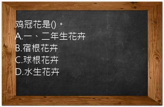 鸡冠花是()。