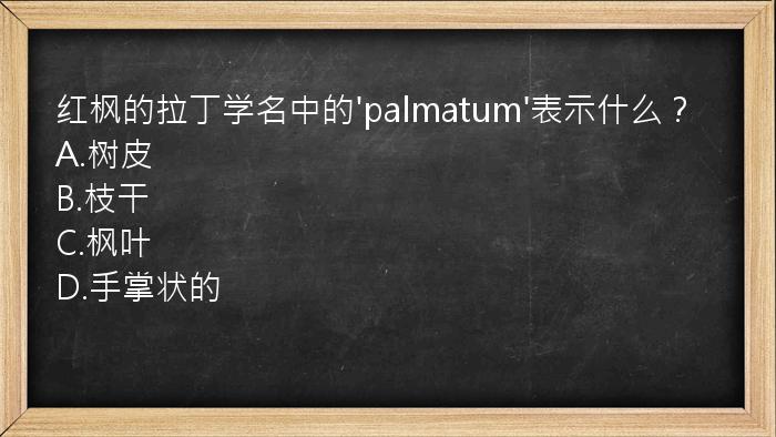 红枫的拉丁学名中的'palmatum'表示什么？