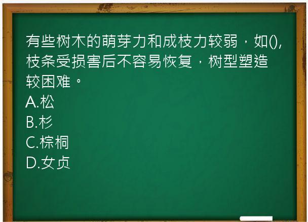 有些树木的萌芽力和成枝力较弱，如(),枝条受损害后不容易恢复，树型塑造较困难。