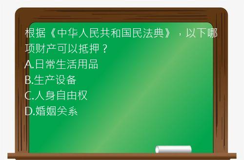 根据《中华人民共和国民法典》，以下哪项财产可以抵押？