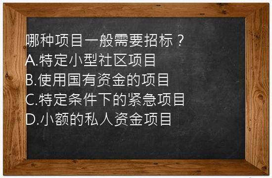 哪种项目一般需要招标？