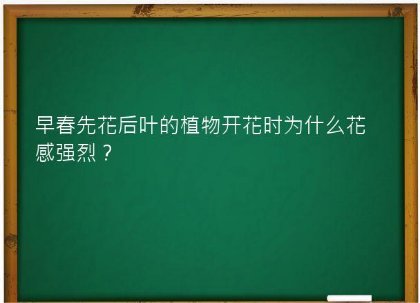 早春先花后叶的植物开花时为什么花感强烈？