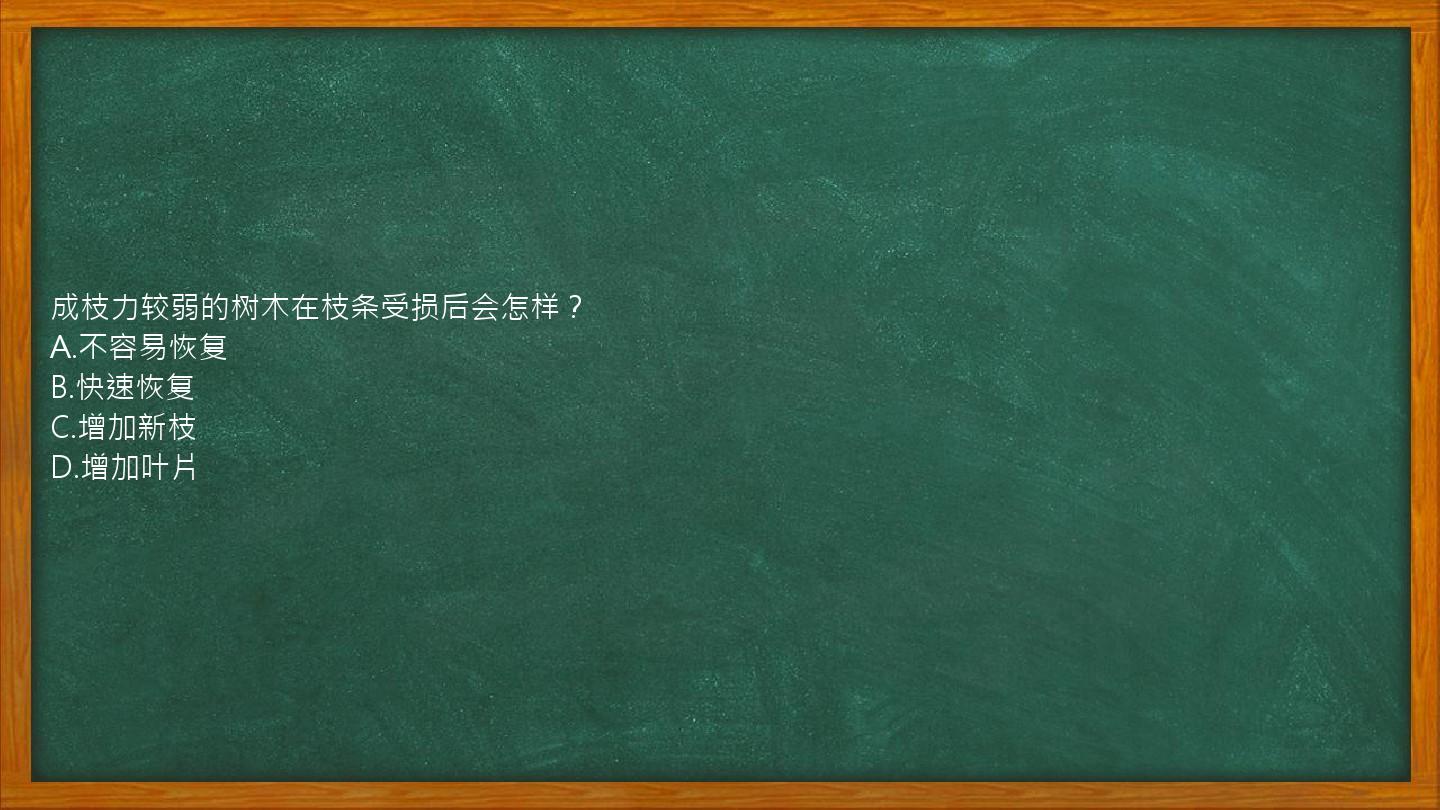 成枝力较弱的树木在枝条受损后会怎样？