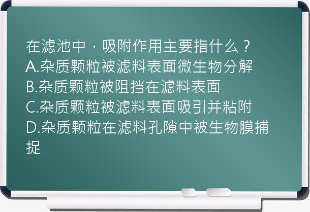 在滤池中，吸附作用主要指什么？