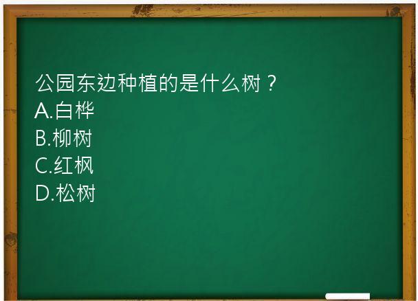 公园东边种植的是什么树？